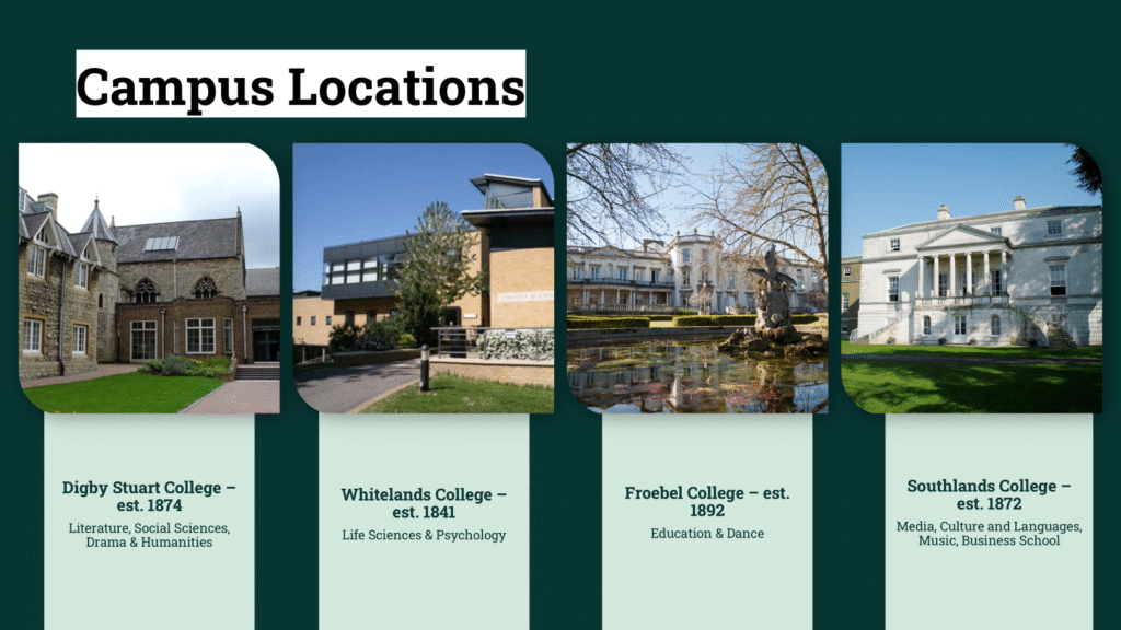 Image 256